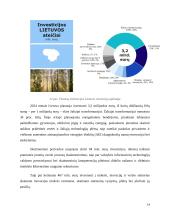 Valstybės biudžeto analizė ir prognozė 13 puslapis