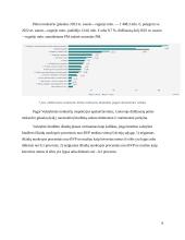 Valstybės biudžeto analizė ir prognozė 7 puslapis