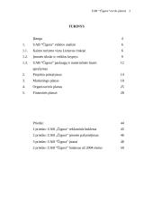 Verslo planas: kaimo turizmas UAB "Čigora" 2 puslapis