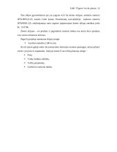 Verslo planas: kaimo turizmas UAB "Čigora" 13 puslapis