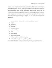 Verslo planas: kaimo turizmas UAB "Čigora" 17 puslapis