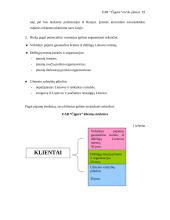 Verslo planas: kaimo turizmas UAB "Čigora" 19 puslapis