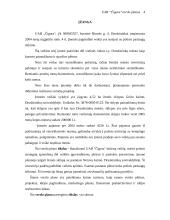 Verslo planas: kaimo turizmas UAB "Čigora" 4 puslapis