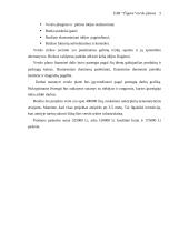 Verslo planas: kaimo turizmas UAB "Čigora" 5 puslapis