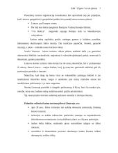 Verslo planas: kaimo turizmas UAB "Čigora" 7 puslapis