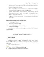 Verslo planas: kaimo turizmas UAB "Čigora" 9 puslapis