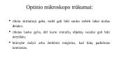 Mikroskopai (skaidrės) 6 puslapis