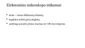 Mikroskopai (skaidrės) 9 puslapis