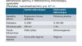 Mikroskopai (skaidrės) 10 puslapis