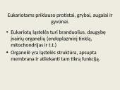 Eukariotų ląstelės 2 puslapis