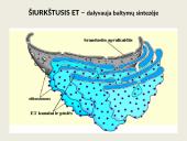 Eukariotų ląstelės 11 puslapis