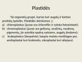 Eukariotų ląstelės 18 puslapis