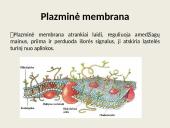 Eukariotų ląstelės 6 puslapis