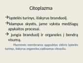 Eukariotų ląstelės 7 puslapis