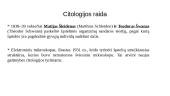 Citologija. Skaidrės 5 puslapis