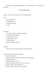 Verslo planas: kalbų mokymo centras VŠĮ "Žinių akademija" 3 puslapis