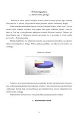 Verslo planas: kalbų mokymo centras VŠĮ "Žinių akademija" 4 puslapis