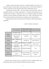 Verslo planas: kalbų mokymo centras VŠĮ "Žinių akademija" 5 puslapis