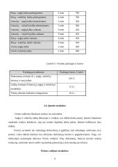 Verslo planas: kalbų mokymo centras VŠĮ "Žinių akademija" 9 puslapis