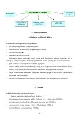 Verslo planas: kalbų mokymo centras VŠĮ "Žinių akademija" 10 puslapis