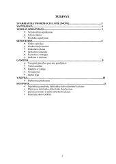 Verslo planas: kartono gaminiai UAB "Wood hause" 2 puslapis