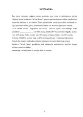 Verslo planas: kartono gaminiai UAB "Wood hause" 4 puslapis