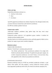 Verslo planas: kartono gaminiai UAB "Wood hause" 6 puslapis