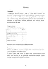 Verslo planas: kartono gaminiai UAB "Wood hause" 8 puslapis