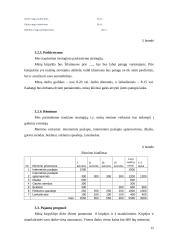 Verslo planas: kirpykla 12 puslapis