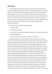 Verslo planas: kompiuterinė svetainė "Kompine" 2 puslapis