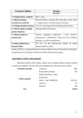 Verslo planas: kompiuterinė svetainė "Kompine" 11 puslapis