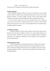 Verslo planas: kompiuterinė svetainė "Kompine" 13 puslapis