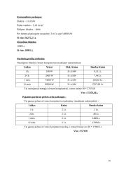 Verslo planas: kompiuterinė svetainė "Kompine" 16 puslapis