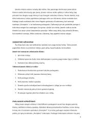 Verslo planas: kompiuterinė svetainė "Kompine" 4 puslapis