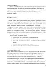 Verslo planas: kompiuterinė svetainė "Kompine" 6 puslapis