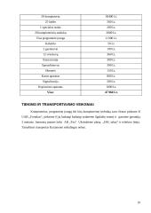 Verslo planas: kompiuterinė svetainė "Kompine" 10 puslapis