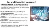Skaidrės. Kibernetinis saugumas 3 puslapis