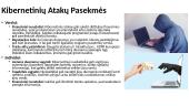 Skaidrės. Kibernetinis saugumas 8 puslapis