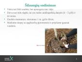 Šilauogių auginimo technologijos 4 puslapis