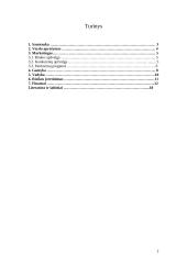 Verslo planas: medienos perdirbimas UAB "Medranga" 2 puslapis