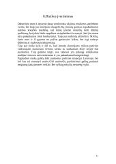 Verslo planas: medienos perdirbimas UAB "Medranga" 11 puslapis