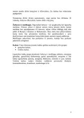 Verslo planas: medienos perdirbimas UAB "Medranga" 9 puslapis