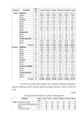 Verslo planas: medinių baldų gamyba UAB "Inva" 11 puslapis