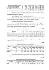 Verslo planas: medinių baldų gamyba UAB "Inva" 13 puslapis