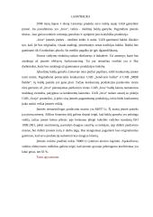 Verslo planas: medinių baldų gamyba UAB "Inva" 3 puslapis