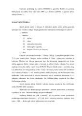 Verslo planas: medinių baldų gamyba UAB "Inva" 5 puslapis