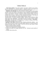 Verslo planas: muzikinis klubas "Už grotų" 2 puslapis