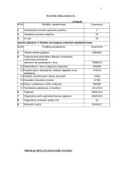 Verslo planas: muzikinis klubas "Už grotų" 18 puslapis