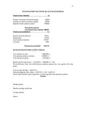 Verslo planas: muzikinis klubas "Už grotų" 20 puslapis