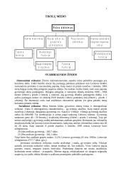 Verslo planas: muzikinis klubas "Už grotų" 3 puslapis